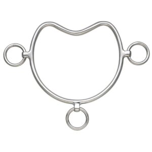 Chifney Bit